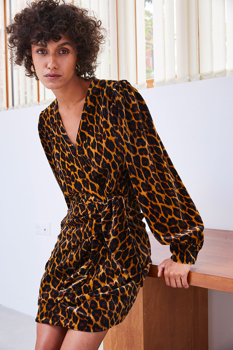 Leopard hot sale velvet dress